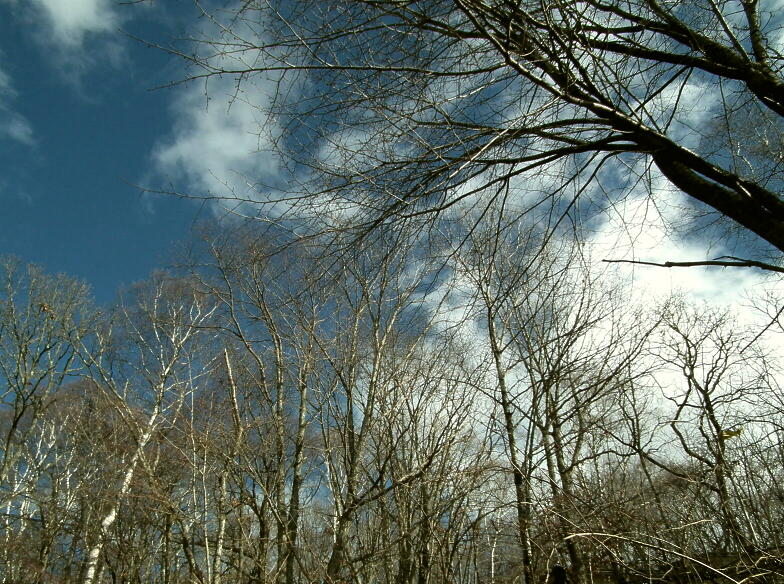 e0064158_18525748.jpg