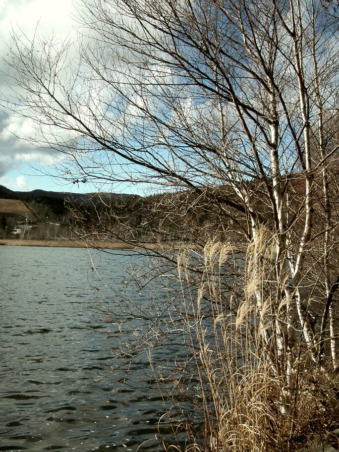 e0064158_18571178.jpg