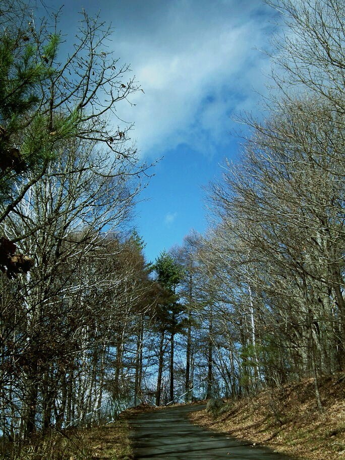 e0064158_1910366.jpg