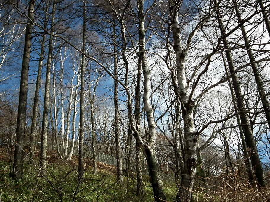 e0064158_1981462.jpg