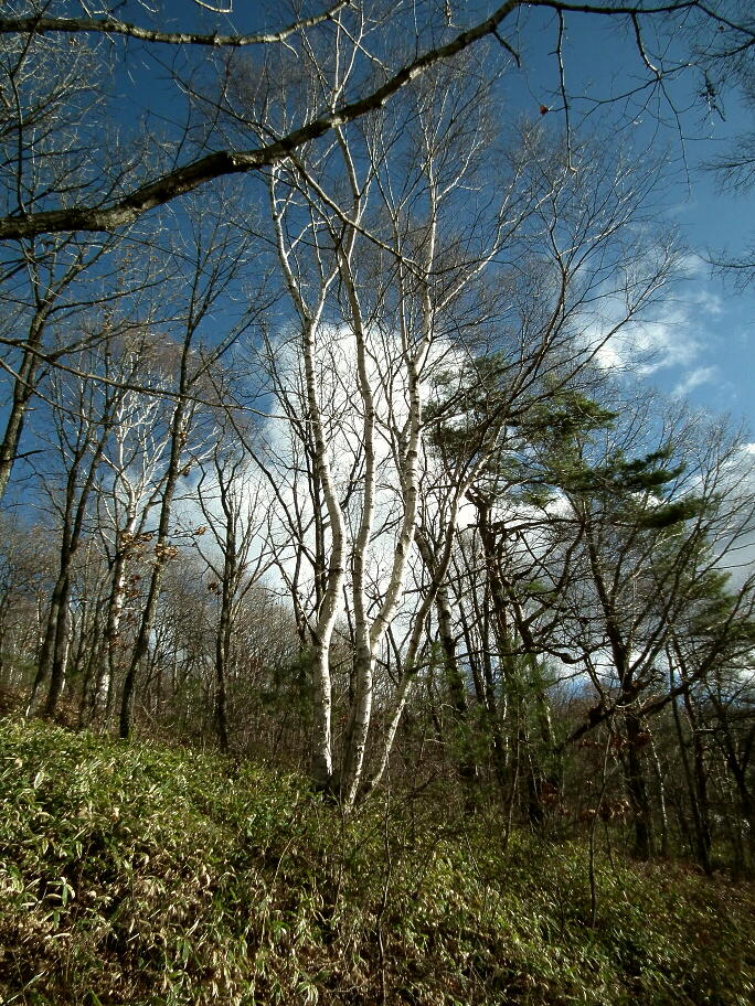 e0064158_1983376.jpg