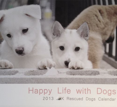 チャリティー保護犬カレンダー_e0190258_12401869.jpg