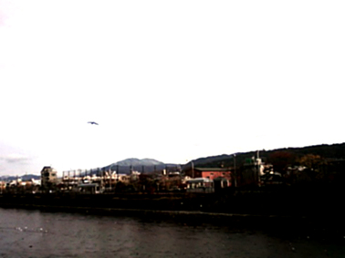 b0153663_16554741.jpg