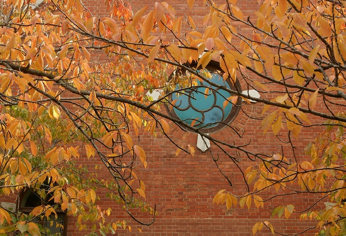 b0198768_1234341.jpg