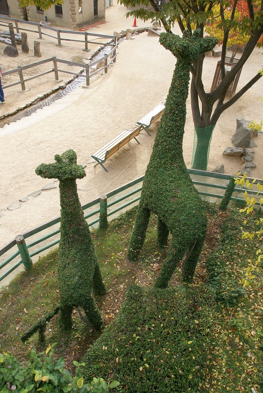 b0198768_1353570.jpg