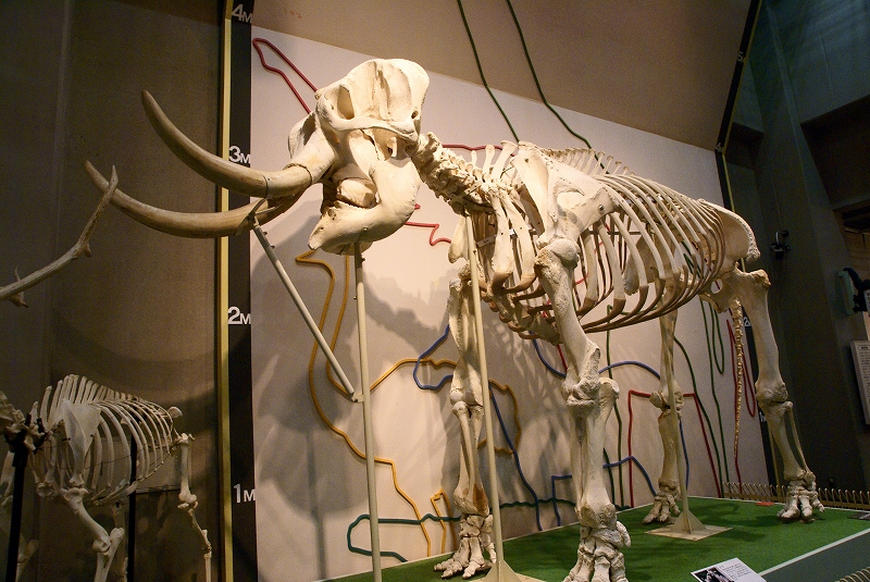b0198768_152791.jpg