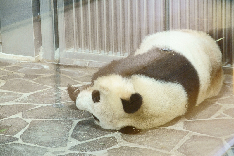 b0198768_1563614.jpg