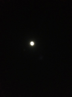 満月の夜。_b0224969_12241335.jpg