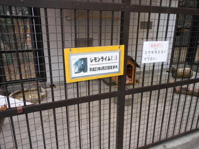 日本で二番目~その2~_c0001670_14245893.jpg