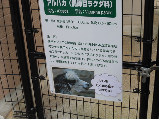 日本で二番目~その2~_c0001670_1443942.jpg