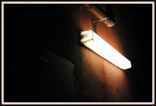 the essence No.13 ~12AW~_e0152373_2021795.jpg