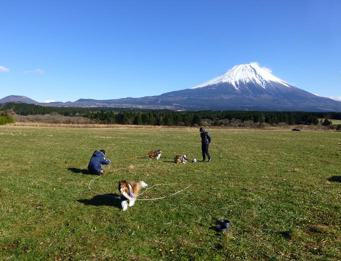 寒くて上等！ふもとっぱら♪_a0157174_17505728.jpg