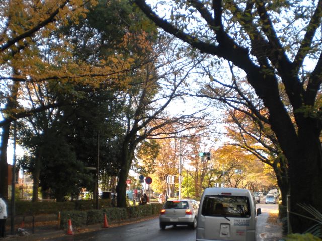 c0268274_1654961.jpg