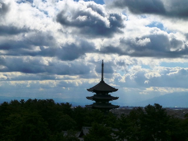 d0042474_1634079.jpg