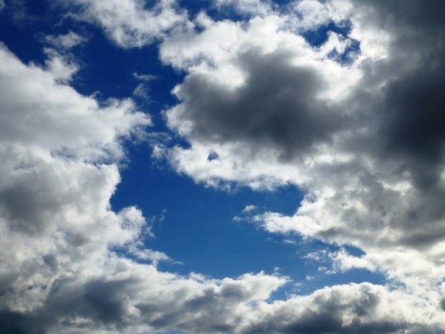 d0042474_1644499.jpg