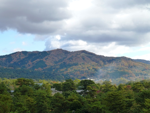 d0042474_16515100.jpg