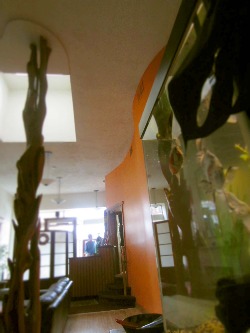 f0056476_114817.jpg