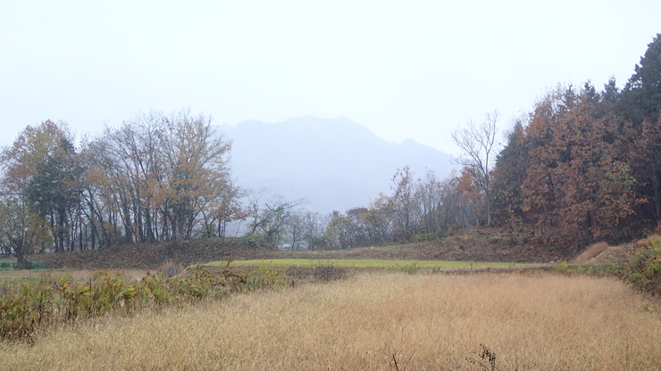 e0024081_917872.jpg