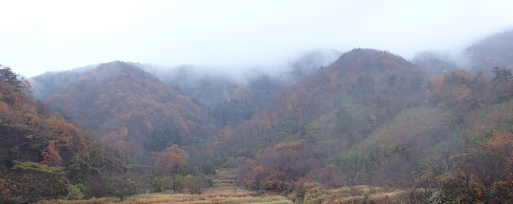 e0024081_9313922.jpg