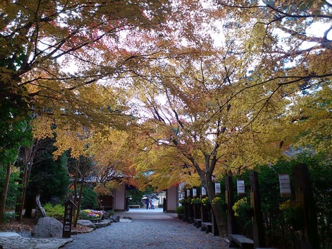 c0238292_19595398.jpg
