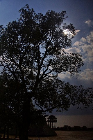 e0176993_810039.jpg
