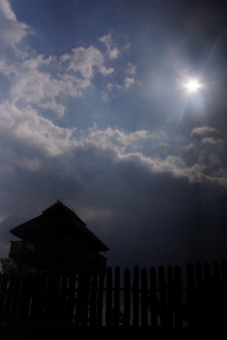 e0176993_8103444.jpg