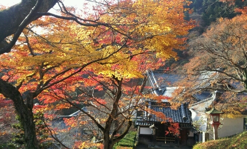 紅葉養峯寺@京都24,12_e0126094_1551179.jpg