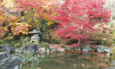 紅葉養峯寺@京都24,12_e0126094_1552221.jpg