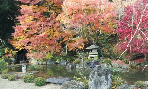 紅葉養峯寺@京都24,12_e0126094_15534611.jpg