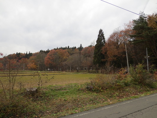 d0055395_2049864.jpg