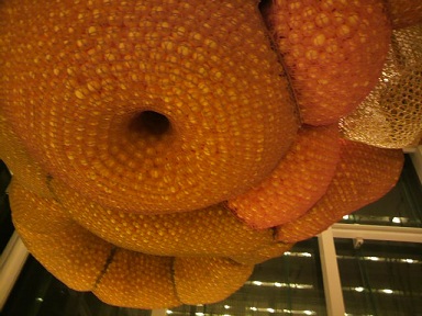 a0126797_2110755.jpg