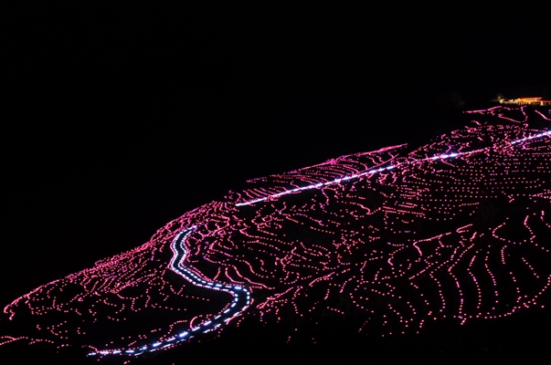 a0259398_20173828.jpg
