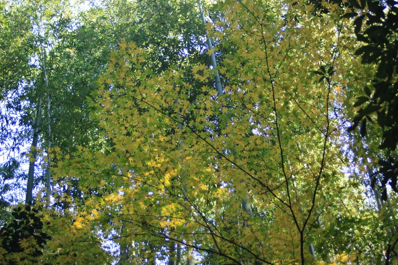 b0138798_2324519.jpg