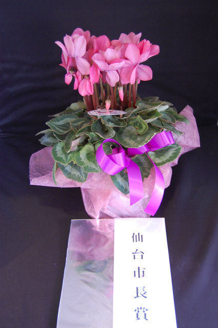 e0159798_17451390.jpg