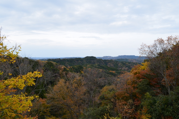 a0275900_9182197.jpg