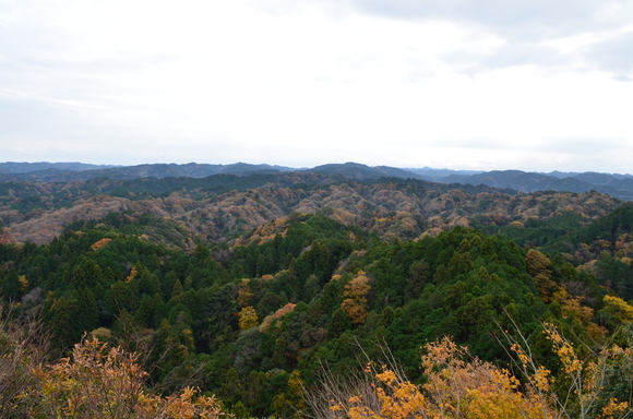 a0275900_9182750.jpg