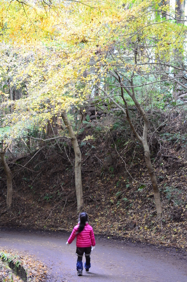 a0275900_9262429.jpg