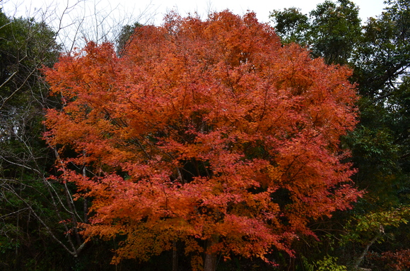 a0275900_9265519.jpg