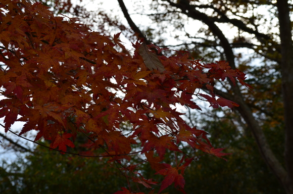 a0275900_9272169.jpg