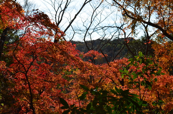 a0275900_934879.jpg