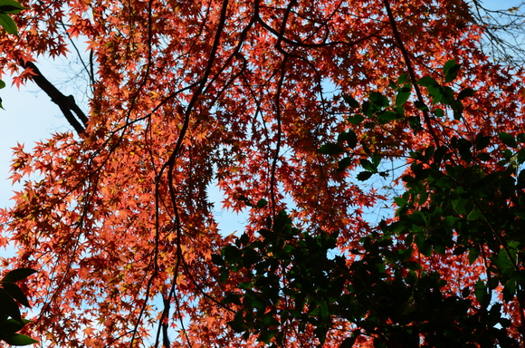 a0275900_935960.jpg