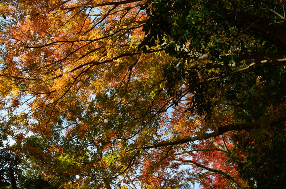 a0275900_942471.jpg