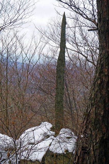 e0137200_232231.jpg
