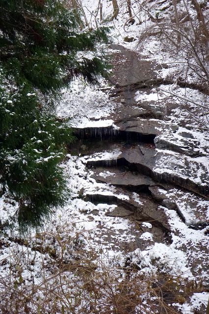 e0137200_23251120.jpg