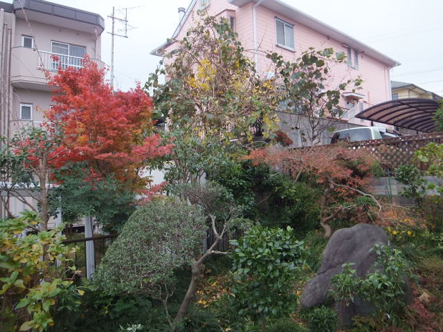 a0271502_1521784.jpg