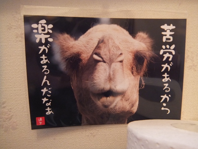 a0271502_9195848.jpg