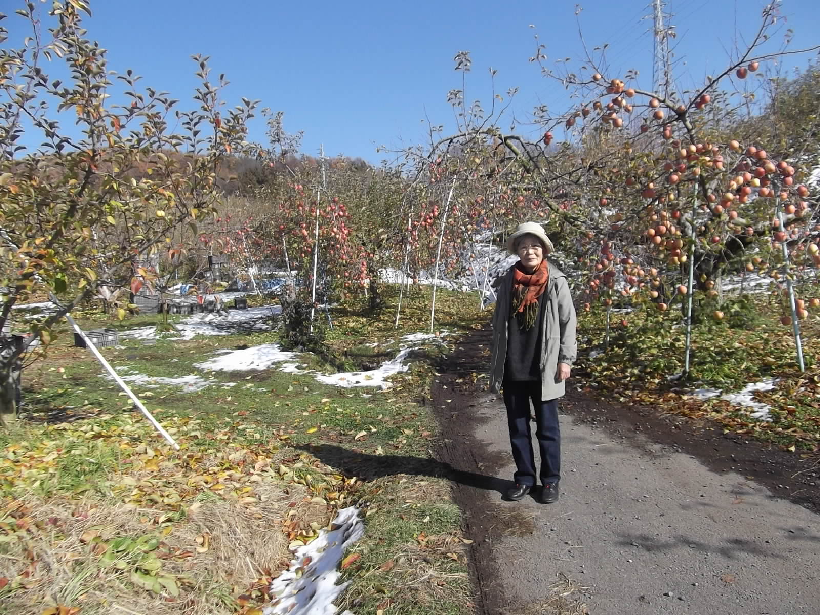 a0203003_214254.jpg
