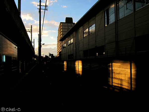 a0154706_15125245.jpg