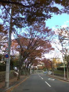 b0248506_924961.jpg