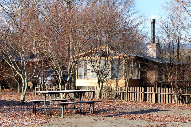 f0224506_1953195.jpg
